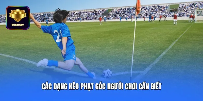 Các dạng kèo phạt góc người chơi cần biết