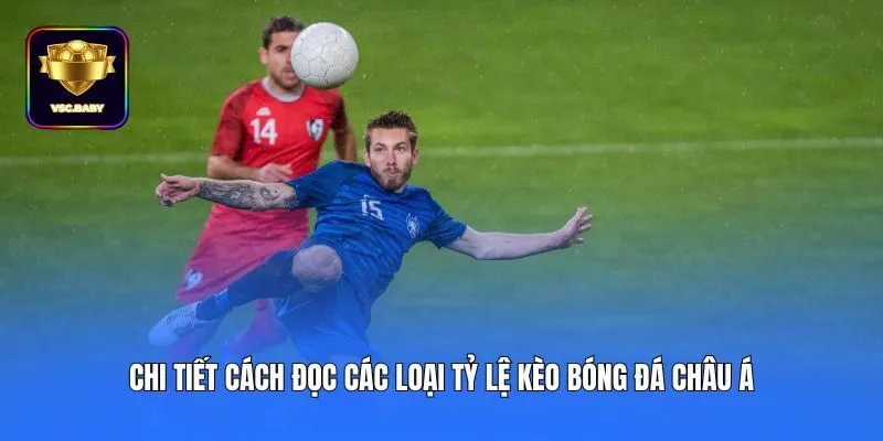 Chi tiết cách đọc các loại tỷ lệ kèo bóng đá châu Á