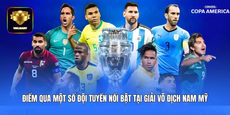 Điểm qua một số đội tuyển nổi bật tại giải Vô địch Nam Mỹ