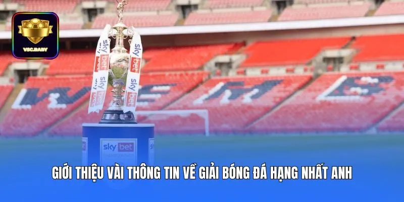 Giới thiệu vài thông tin về giải bóng đá Hạng Nhất Anh