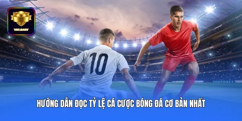 Hướng dẫn đọc tỷ lệ cá cược bóng đá cơ bản nhất