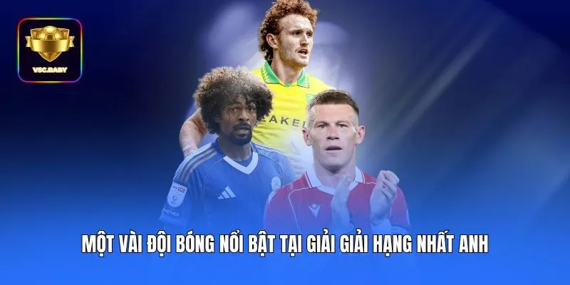 Một vài đội bóng nổi bật tại giải giải Hạng Nhất Anh