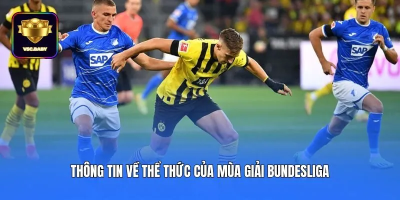 Thông tin về thể thức của mùa giải Bundesliga