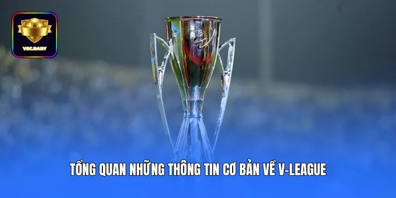 Tổng quan những thông tin cơ bản về V-League