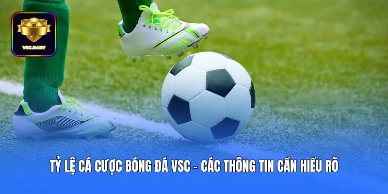 Tỷ Lệ Cá Cược Bóng Đá VSC - Các Thông Tin Cần Hiểu Rõ
