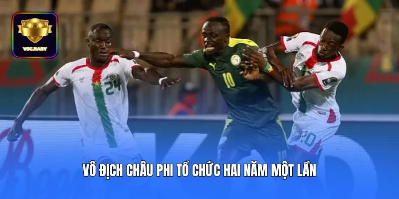 Vô địch châu Phi tổ chức hai năm một lần